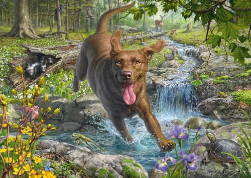 Schmidt 58559 Frühlingsspaziergang mit Labrador Retriever, 1000 Teile | Mark Frederickson