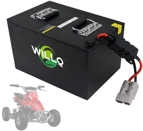 WILLQ 60V 72V 65Ah 80Ah 100Ah Lithium-Akku, austauschbarer Ersatzakku für Motorräder, Go-Kart-/Dreirad-Motoren-Kits mit Anderson-Stecker,60v100ah