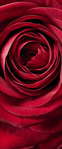 Fototapete RED ROSE - 92 x 220 cm, rote Rosen, Blumenmotiv, Wanddekoration, Tapete, Schlafzimmer, Blumentapete