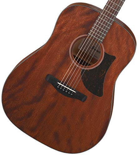 Ibanez AAD140-OPN Advanced Acoustic Open Pore Natural - Westerngitarre