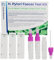 3 x H. Pylori Magengeschwür-Tests | Helicobacter-Pylori-Infektion Stuhltest | Screening für Sodbrennen und Verdauungsstörungen