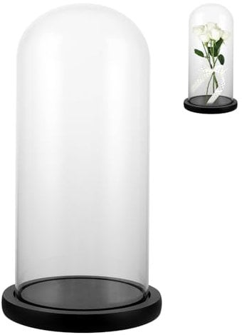 SHUESS Campana in vetro con fondo in legno nero, altezza 26 cm, decorazione a cupola in vetro trasparente, per luci, decorazione, accessorio per la casa