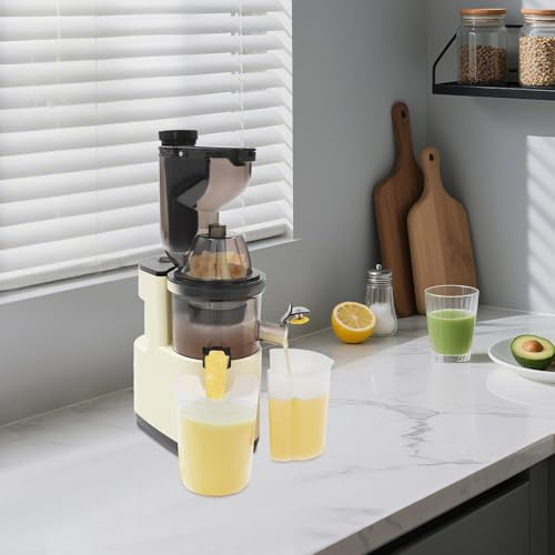 Centrifugeuse électrique, 500 W, pour fruits, légumes, smoothies, noir/rouge/blanc, passoire en acier inoxydable, convient pour jus et jus, facile à nettoyer avec la brosse, blanc