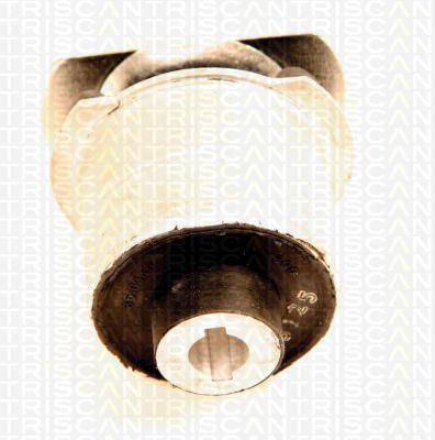 Triscan 8500 65835 Mounting, axle beam