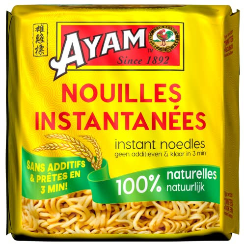 AYAM Nouilles Instantanées | 100% Naturelles | Sans assaisonnement ni Arôme | Farine de qualité | Prêtes en 3min | Sans additifs | Sans Glutamate | Sans conservateurs - 4x70g blocs-280g