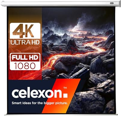 celexon Economy Motor-Leinwand 135 | 240x240 cm 1:1 | elektrische 4K,Full-HD Beamer-Leinwand für Büro-Präsentationen & Ihr Heimkino | zur Wand- und Deckenmontage | inkl. Fernbedienung