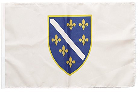 Flaggenfritze® Flagge Bosnien alt 1992-1998 - 30 x 45 cm
