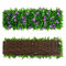 LSRVNM Grillage en Feuille de Lierre Artificielle, Écran D'intimité Cloture Jardin Exterieur, Treillis Extensible Feuillage, Mur Vegetal Brise vue Balcon Feuillage, Anti-UV pour Jardin Cour