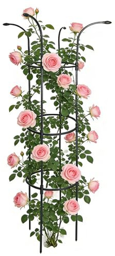 Arroopu Garten Spalier für Kletterpflanzen - Korrosionsbeständige stabile Rankhilfe für Kletterpflanzen,-Stützgitter für Außenbereich,für Rosen Clematis Drachenfrucht Gurken