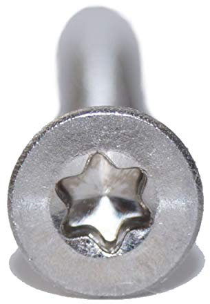 Senkschrauben mit Innensechsrund M5X10 TX25 100 Stück ISO 14581 A2 Edelstahl rostfrei Senkkopfschraube