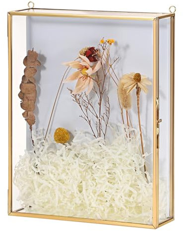 OGANAZI 20,3 x 25,4 cm goldener Glasrahmen zum Aufhängen an der Wand, Erinnerungsbox, Vitrine, tiefer Kastenrahmen für Tischwand, Schattenbox mit weißer Schaumstoffrückwand für Fotos, Blumen,