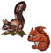 2 TLG. Set: Eichhörnchen - Bügelbilder - Aufnäher Applikation - Katteker Eichhorn - Waldtier für Kinder Wald Tier Tiere Eichkätzchen/Sticker Eulensticker