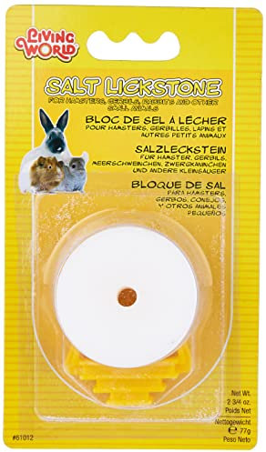Living World Jumbo-Salzleckstein mit Halter, 77 g