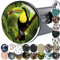 Sanilo Waschbeckenstöpsel, viele schöne Stöpsel für das Waschbecken zur Auswahl, universal mit Motiv (Toucan)