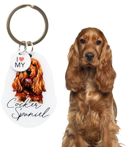 Splosh Porte-clés personnalisé pour animaux de compagnie,Porte-clés pour chiens,Cadeaux personnalisés,Porte-clés pour amoureux des chiens,Accessoires pour chiens, multicolore, S