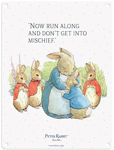Metal Sign - Beatrix Potter's Peter Rabbit ('Now run along and don't get into mischief', 20 x30 cm)