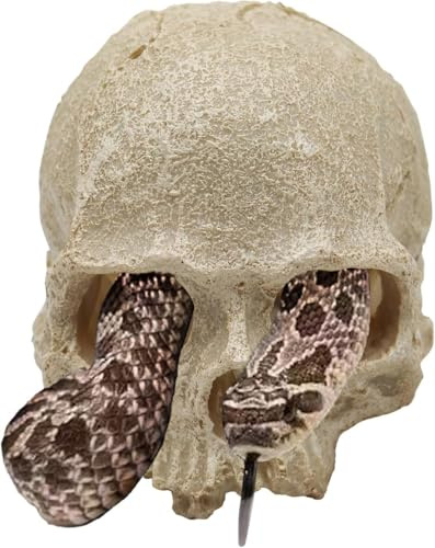 Dnoifne Schlangenhöhle, Reptilien-Aquarium Schädel-Deko, Resin-Skelettkopf Versteck, Terrarium-Zubehör, Reptilienverstecke für Fische, Bartagamen, Ballpythons, Leopardgeckos, 12 x 9 x 9,5 cm