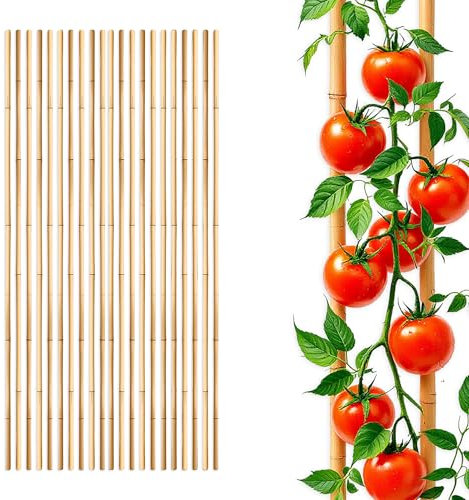 Bambus Pflanzstab für Rankgewächse 105 cm Länge - 20 Stück - Bambusstab Rankhilfe für Tomatenpflanzen - Holz Pflanzenstütze Banbusstange Tonkinstab Holzstab Kletterhilfe für Tomaten Gurken Pflanzen