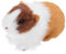 Abaodam Figurine Hamster Réaliste Simulé pour Garçon et Filles Modèle Animal Éducatif en Peluche Jouet de Décoration Amusante pour Chambre d'Garçon et Filles et Fête