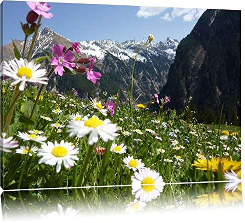 Pixxprint Wunderschöne Blumen Alpenwiese, Größe: 80x60cm, Leinwandbild, fertig gespannt, Wandbild, Dekoration, Kunstdruck, kein Poster