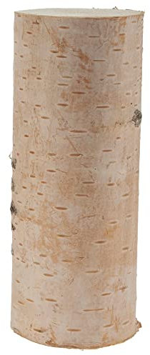matches21 Birkenstämmchen Baumstamm gerader Schnitt - Holzstamm Naturmaterial DIY Bastelmaterial - je 1 STK. 8 x 20 cm