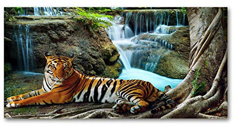 Tulup Glas-Bild Wandbild aus Glas - Wandkunst - Wandbild hinter gehärtetem Sicherheitsglas - Dekorative Wand für Küche & Wohnzimmer 120x60 - Tiere - Tiger Wasserfall - Braun