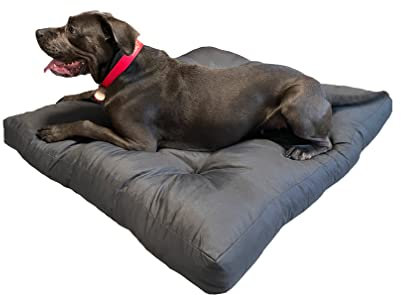 Pillows24 Hundebett in 3 Größen M, L und XL erhältlich, 10 cm hoch, Hundematte ideal für kleine, mittlere und große Hunde, waschbares Hundekissen, 100% Oxfort-Polyester, leicht zu reinigen