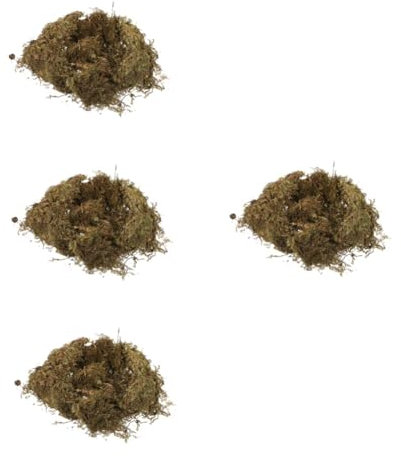 Operitacx 4 Sätze Lebensraum Moos Mikroszene Getrocknetes Moos Landschaftsgestaltung Mit Natürlichem Moos Mikroszene Getrocknete Flechten Mikrolandschaft Moos Kunstmoos 2 Packungen * 4