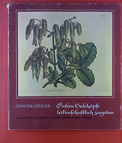 Diesem Geschöpfe leidenschaftlich zugetan. Bryophyllum calycinum - Goethes pantheistische Pflanze.