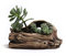 Zement Treibholz Pflanztöpfe Kreativer Tonkeramik-Blumentopf, Imitation Alter Baum-Wurzel-Entwurf, Wurzel, Die Fleischigen Blumentopf, Imitation Stump Log Beton Blume Sukkulenten Topf / Behälter (8)