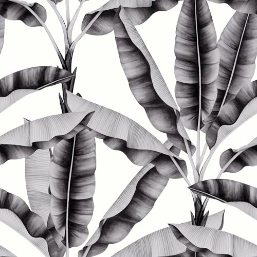Arthouse Musa Mono Wallpaper 924400