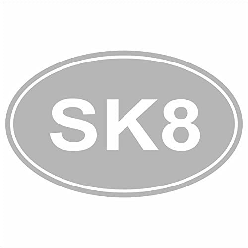 JINTORA - Autoaufkleber Tuning - SK8 Skater Euro OVAL - 139mm x86mm - Auto Aufkleber - Bus - Fenster - Heckscheibe - Camper - wetterfest - Outdoor Sticker Auto Deko LKW - Tuning Selbstklebend - Silber