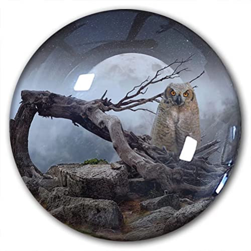 Owl Fridge Magnet Refrigerator Stickers Decorative Magnet Travel Souvenir Crystal Glass