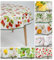 laro 140cm runde Wachstuch Tischdecke abwaschbar Wachstuchtischdecke mit Saum-Eingefasst-Paspelband, Muster:Erdbeeren Rot Weiß, Größe: Rund 140cm