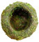 Vaso da fiori a sfera di muschio, fioriera in tessuto di muschio naturale, supporto per piante ecologico, facile manutenzione, fioriera versatile, 4 x 8-9 cm, per decorazione da tavolo da giardinaggio