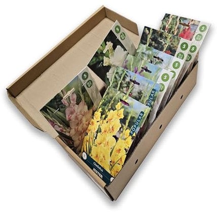 Nojus - Colección de bulbos de gladiolos - Conjunto de bulbos de flores perennes - Mezcla premium para flores de verano brillantes - Conjunto perennes orgánicos resistentes