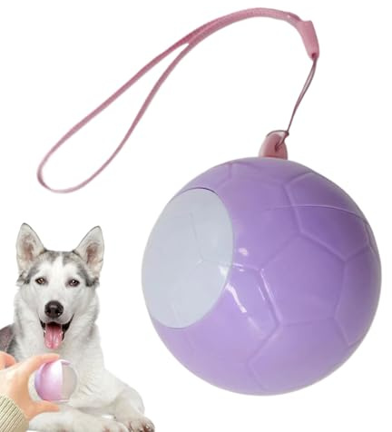 Washable Dustproof Roller | Remove Lint and Pets from Your Tableware – Reusable Washable Portable for Removing Pets Suitable for Clothing, Car Interior, Sofa