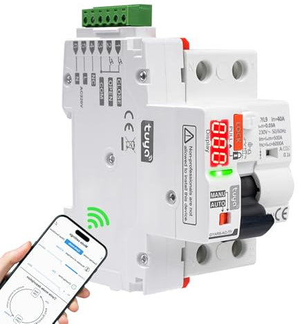 40 A sauvetage avec réarmement automatique wifi Interrupteur différentiel à réarmement automatique différentiel réarmement 2P Wifi RCCB numérique LED Contrôle APP/manuel AC 220 V 40 A 30 mA (type A)
