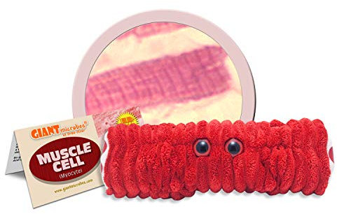 GIANTmicrobes Muscle Cell (Myocyte) Plush Toy