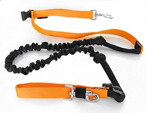 Canicross Hundeleine, professionell, mit einziehbarem Stoßdämpfer, ausziehbar, 2,5 m, Jogging, Ski-Joëring. Für Spaziergänge mit dem Hund, M: 20 – 30 kg, gelb)
