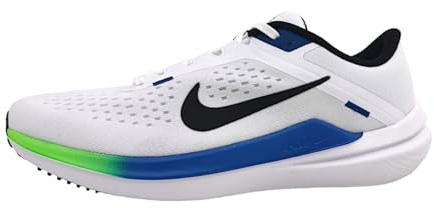 Nike Winflo 10 Straßenlaufschuh für Herren, DV4022