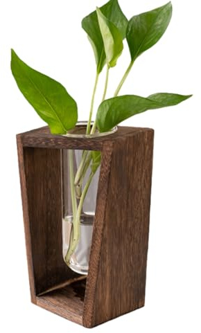 Propagationsstation - Holzrahmen, Glasrohr | Desktop -Glas -Pflanzer -Tabletop -Röhrchen mit Holzständer, transparenter Vase -Ständer für hydroponisches Kräuterwachstum, dekoratives Requisiten -Setup