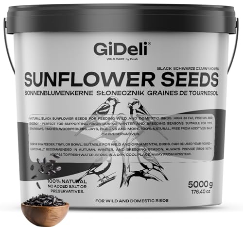 GiDeli Sonnenblumenkerne schwarz 5kg im Eimer Wildvogelfutter Vogelfutter für das Ganze Jahr Pferdefutter und Kleintierfutter