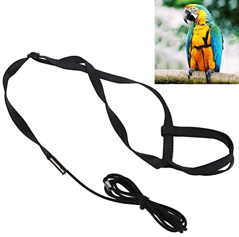 Tnfeeon Laisse de Harnais d'oiseau, Corde Volante Légère Réglable de Perroquet pour des Parties d'amusement Extérieures (XL)