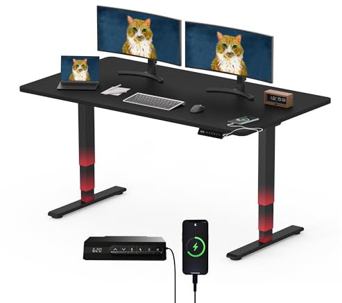 SANODESK E6 140x80cm Standing Desk 2 Motor, 3-Stage Lifting Column, ONE PEICE Desktop FSC certified Heavy Duty Steel Stand up Desk with Memory Smart Keyboard With USB