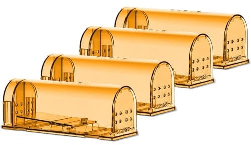 Arvov mausefalle 4 Set mausefalle lebend Leicht zu Verwenden lebendfalle Maus Haustier- und Kindersicher lebendfalle Ratte Wiederverwendbare und Hygienische mit Luftlöchern Tierfreundlich mausefalle