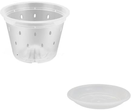 Simple transparente plástico transpirable planta dura taza orquídea dendrobium control de raíces olla Phalaenopsis maceta especial macetas coloridas de cerámica (B un tamaño)