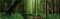 1art1 Wälder EIN Ruhiger Fluss Fließt Durch Den Wald, 1-Teilig Fototapete Poster-Tapete 250x79 cm