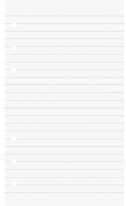 Brunnen 10 x Ringbucheinlagen 8,8x15,2 liniert 50 Blatt