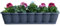 Hossi's Wholesale Blumenkasten 80cm, Balkonkasten mit Wasserspeicher, Pflanzkasten Anthrazit im Wellendesign mit passendem Bewässerungsuntersetzer